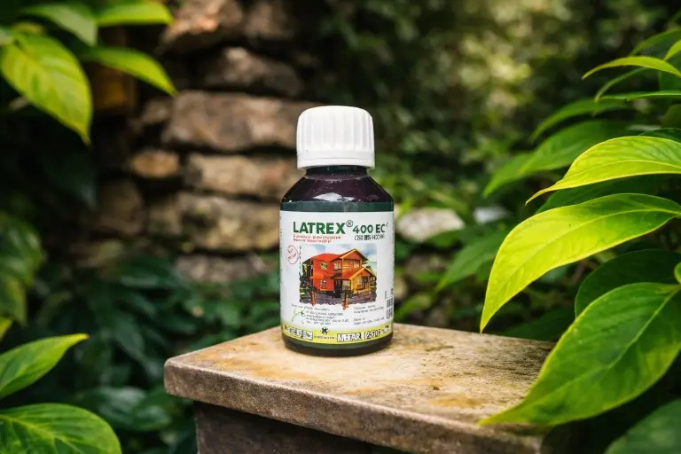 Merk Obat Anti Rayap untuk Bedug dan Cara Mendapatkannya